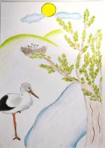 Jurčíková Kristína.jpg